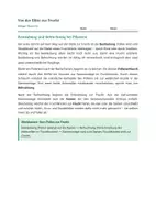 Vorschau - Stundenentwürfe - Biologie: Von der Blüte zur Frucht - Klasse 5/6 - Seite 2