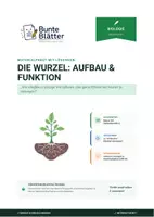 Vorschau - Stundenentwürfe - Biolgie: Die Wurzel - Aufbau und Funktion - Klasse 5/6 - Deckblatt