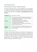 Vorschau - Stundenentwürfe - Biolgie: Die Wurzel - Aufbau und Funktion - Klasse 5/6 - Seite 1