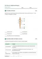 Vorschau - Stundenentwürfe - Biolgie: Die Wurzel - Aufbau und Funktion - Klasse 5/6 - Seite 3