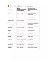 Vorschau - Merkblätter - Medizinische Ausdrücke (Deutsch_Griechisch9 - Deckblatt