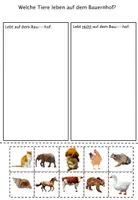 Vorschau - Arbeitsblätter - Sortiermatte: Auf dem Bauernhof (differenziert, inkl. Lösungen und Anregungen) - Seite 3