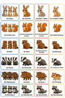 Vorschau - Bildkarten - Legematerial_Tierfamilien_Wildtiere_heimische_Tierarten - Seite 1