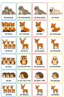 Vorschau - Bildkarten - Legematerial_Tierfamilien_Wildtiere_heimische_Tierarten - Seite 2