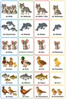 Vorschau - Bildkarten - Legematerial_Tierfamilien_Wildtiere_heimische_Tierarten - Seite 3