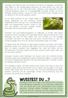 Vorschau - Arbeitsblätter - SCHLANGEN - Haustiercheck - Seite 2