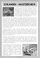 Vorschau - Arbeitsblätter - SCHLANGEN - Haustiercheck - Seite 3