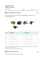 Vorschau - Stundenentwürfe - Biologie: angepasste Vögel - Klasse 5/6 - Seite 3