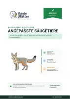 Vorschau - Stundenentwürfe - Biologie: Angepasste Säugetiere - Klasse 5/6 - Deckblatt