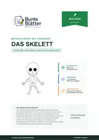 Vorschau - Stundenentwürfe - Biologie: Das menschliche Skelett - Klasse 5/6 - Deckblatt