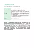 Vorschau - Stundenentwürfe - Biologie: Das menschliche Skelett - Klasse 5/6 - Seite 1