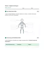 Vorschau - Stundenentwürfe - Biologie: Das menschliche Skelett - Klasse 5/6 - Seite 3