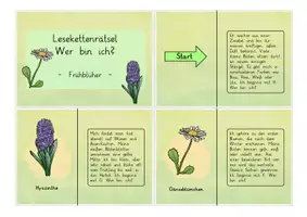 Vorschau - Mal- und Bastelvorlagen - Frühblüher: XXL Sparpaket (Lesespaziergang, Kunst) - Sachunterricht / Deutsch - Kl. 1-3 - Seite 3
