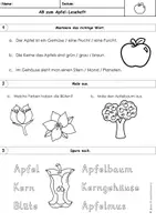 Vorschau - Arbeitsblätter - Apfel Arbeitsblatt | zum Leseheft | Klasse 1 & 2 | differenziert - Seite 1