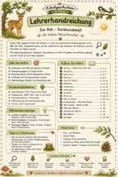 Vorschau - Stundenentwürfe - Waldtiere | Sachunterricht Klasse 1-4 | Bundle | Arbeitshefte mit Lösungen und Lehrerhandreichungen - Seite 2