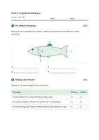 Vorschau - Stundenentwürfe - Biologie: Wirbeltiere - Fische - Klasse 5/6 - Seite 3