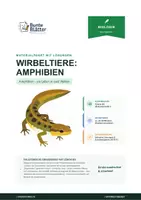 Vorschau - Stundenentwürfe - Biologie: Wirbeltiere - Amphibien - Klasse 5/6 - Deckblatt