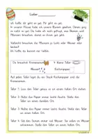 Vorschau - Arbeitsblätter - Kresseversuch während Corona - Seite 1