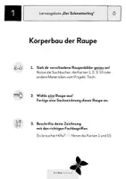 Vorschau - Stationenlernen - Der Schmetterling - Lernangebote ab Klasse 2 - Seite 3