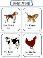Vorschau - Bildkarten - Animals English Flashcards - Seite 1