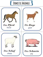 Vorschau - Bildkarten - Animals English Flashcards - Seite 2