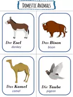 Vorschau - Bildkarten - Animals English Flashcards - Seite 3