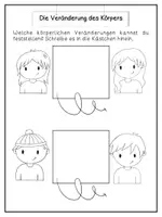Vorschau - Arbeitsblätter - Sexualkunde -AB + Tafelmaterial- - Seite 3