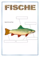Vorschau - Arbeitsblätter - Alles rund um Fische - inkl. Lösungen - Seite 1
