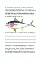 Vorschau - Arbeitsblätter - Alles rund um Fische - inkl. Lösungen - Seite 2