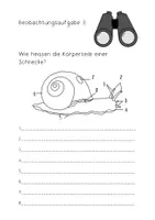 Vorschau - Arbeitsblätter - Beobachtungsdossier: "Die Schnecke" - Seite 3