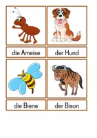 Vorschau - Stundenentwürfe - Lebensraum Tiere - einfach - Seite 2