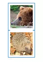 Vorschau - Spiele - MAXI-Puzzle Tiere kostenlos - Seite 2