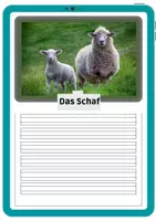 Vorschau - Arbeitsblätter - Bauernhof Tiere Steckbrief - Seite 2
