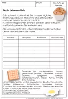 Vorschau - Unterrichtsreihen - Das Huhn als Nutztier - Eierproduktion- Unterrichtsmaterial - Seite 3