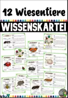 Vorschau - Stationenlernen - Wiesentiere - Wissenskartei - Deckblatt