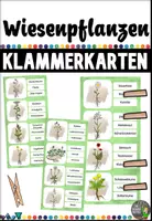 Vorschau - Arbeitsblätter - Wiesenpflanzen - Das Paket (BUNDLE) - Seite 1