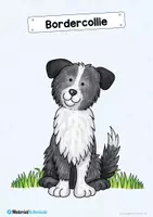 Vorschau - Bildkarten - 35 Flashcards: Hunde & Hunderassen - Seite 1