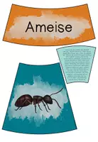 Vorschau - Stationenlernen - Tiere der Wiese - Legekreis - Seite 1