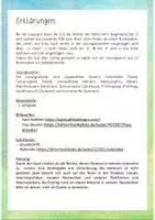 Vorschau - Arbeitsblätter - 10 Mini- Lesespuren (Wortebene) Klasse 1 - Seite 1