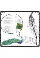 Vorschau - Stundenentwürfe - Der Pfau - Seite 2