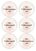 Vorschau - Stundenentwürfe - Materialpaket - Verdauung - Seite 3