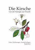 Vorschau - Mal- und Bastelvorlagen - Die Kirsche - Von der Knospe zur Frucht - Fotos, Zeichnungen, Ausmalvorlagen - Deckblatt