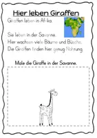Vorschau - Arbeitsblätter - Giraffe Forscherheft – Sachunterricht Grundschule (Tiere Afrikas Klasse 1/2) - Seite 2