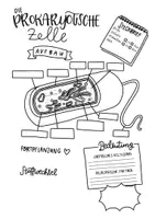 Vorschau - Arbeitsblätter - Study Sheets - Die Prokaryotische Zelle - Seite 2