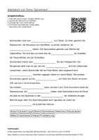 Vorschau - Arbeitsblätter - Arbeitsblätter zum Thema "Spinnen" + Lösung & MP3 + Mindmap + Infografik - Seite 3