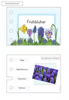 Vorschau - Stationenlernen - Frühblüher Stöpselkasten - Seite 2