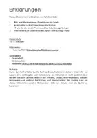 Vorschau - Arbeitsblätter - Lebenskreis des Apfels Klasse 1-2 - Seite 1
