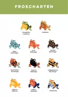 Vorschau - Poster - Froscharten-Poster in A1, A2 und A3 - auch Homeschooling - Seite 2