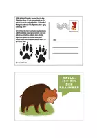 Vorschau - Mal- und Bastelvorlagen - Postkartengeschichten - Waldtiere - Seite 2
