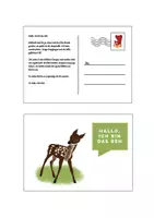 Vorschau - Mal- und Bastelvorlagen - Postkartengeschichten - Waldtiere - Seite 3